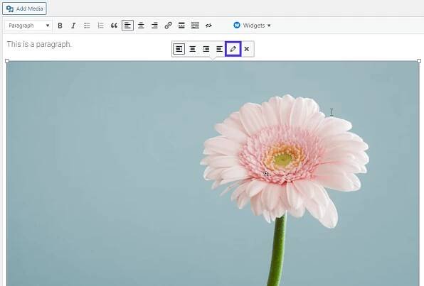 Opening the image settings in the Classic Editor.