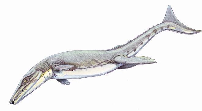 Geosaurus giganteus.jpg