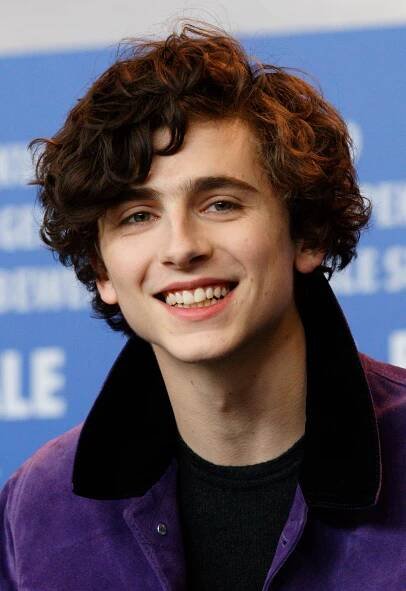 Soubor:Timothée Chalamet 2017 Berlinale.jpg