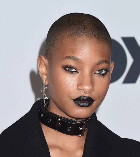 Willow Smith is The Original Gen Z Hair Queen