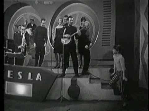 Waldemar Matuška - Kočka na okně