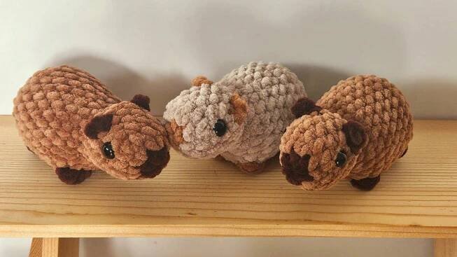 Hačkovana kapybara. ionela bašistova Vlnavierka | Capybara, Eshop, The creator