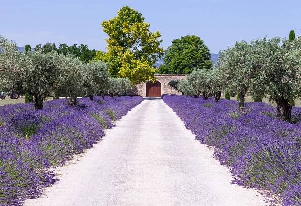 Provence po stopách Dobrého ročníku