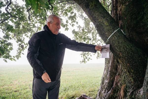 Hlasování v anketě Strom roku 2025 se blíží ke svému konci - Obec Pustá Kamenice