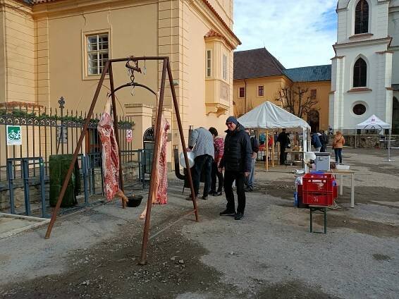 VIDEO: Guláš za 365 korun? Klášter Želiv pořádal zabíjačku, ceny překvapily
