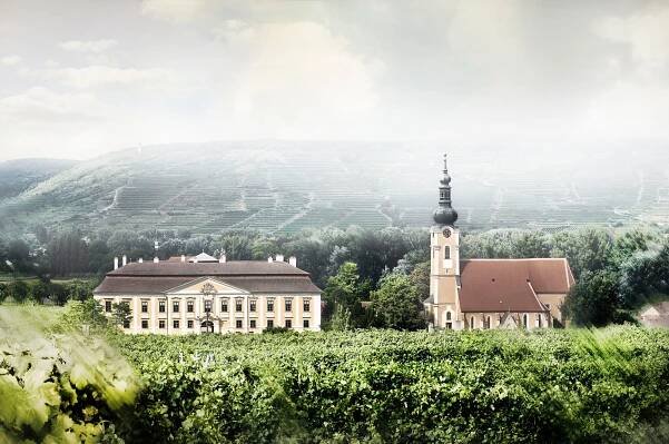 Gobelsburg-Zeiselberg: Jahrhunderte alte Weinkultur
