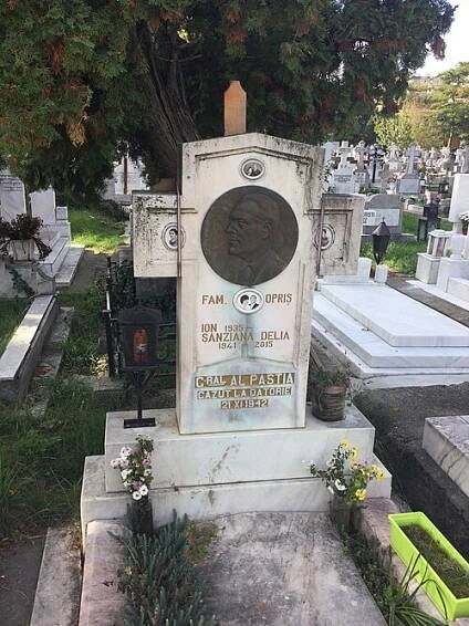 Alexandru Pastia - Wikipedia