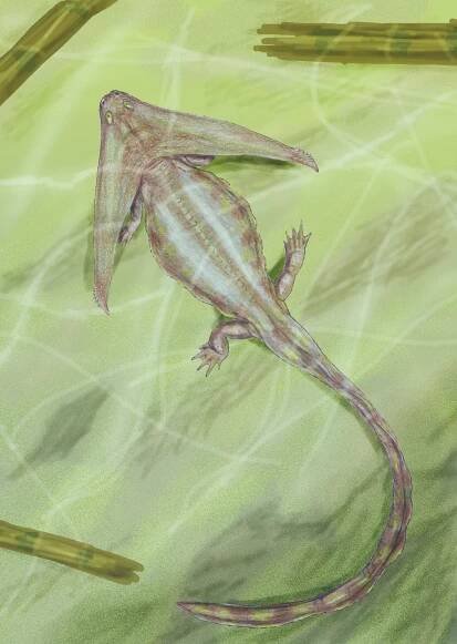 Holospondyli