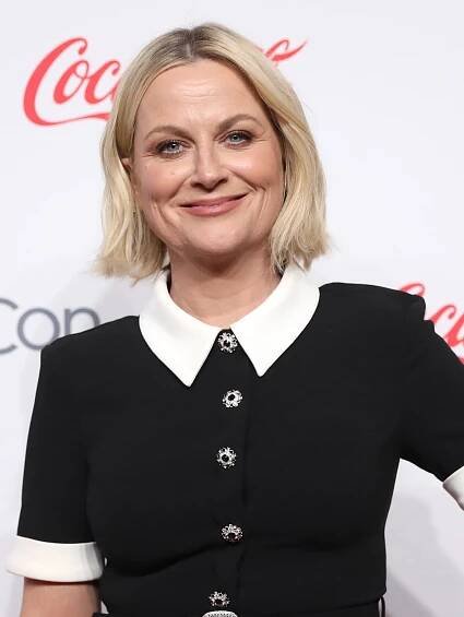List of awards and nominations received by Amy Poehler