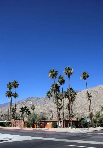 Travel Guide: Palm Springs - Love Swah | Palm springs california, California travel, Palm springs real estate