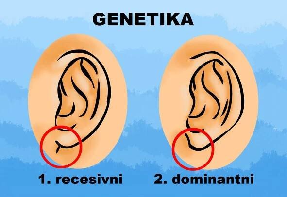 NÁHLE VAŠE UŠI ZČERVENALI A JSOU VELMI HORKÉ? Tady je to, o co jde