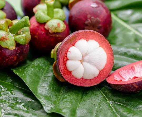 Fresh, ripe Mangosteen (Garcinia mangostana) against a natural backdrop. Wallpaper