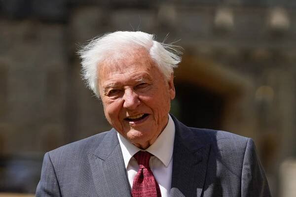 Astonishing amount Sir David Attenborough rakes in every minute at age 96 | The Sun