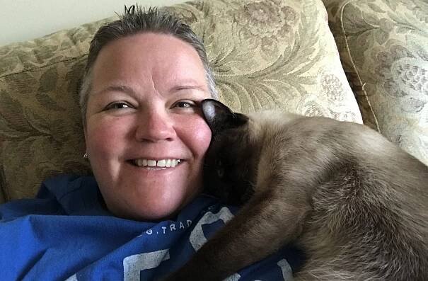 Little Paws Cat Sitting | The Generator Blog Hamilton Social Media Marketing Photo 2