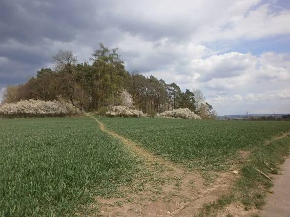 Fotografie - Tábor- Babí hora - 03.05.2021