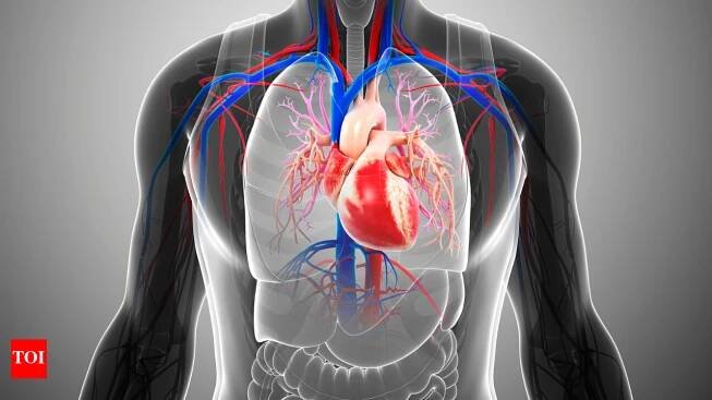 Strengthen the heart naturally: 5 tips that actually work