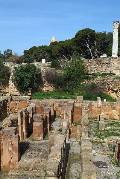 Dar Marsa Cubes – La Marsa - Maisons d'hôtes en Tunisie