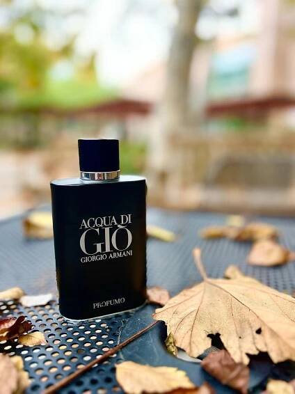 Acqua di Giò Profumo Giorgio Armani pro muže