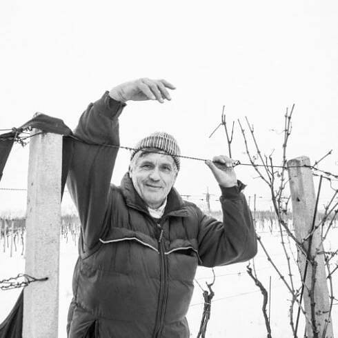 Filiberk – Rodinné vinařství v Kobylí