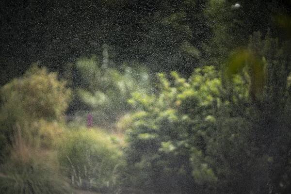 Terri Weifenbach : Air and Dreams   7 November - 23 December