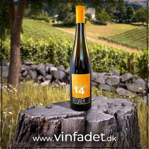 Hvidvin – Vinfadet