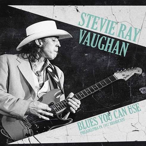 LP desky: Stevie Ray Vaughan - Blues You Can Use (2 LP)