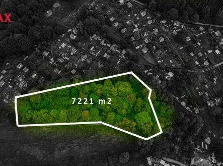 Prodej - pozemek, zahrada, 7 221 m²