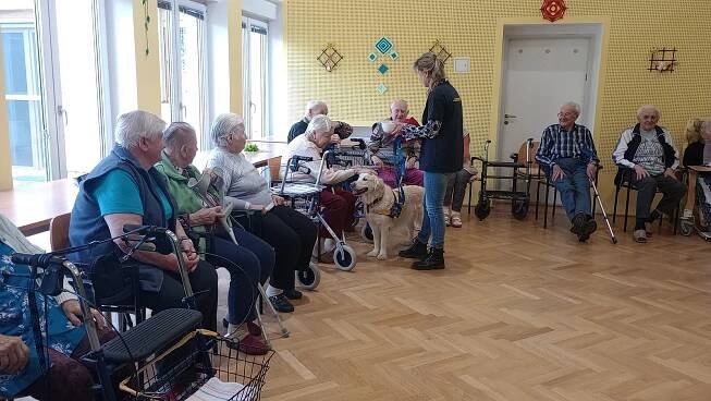 Psí kusy v domově pro seniory. Chlupáči přinesli radost a něhu
