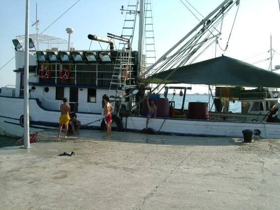 Ferienwohnungen in Kroatien - Eindruck der Umgebung