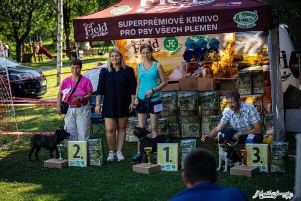 6. ročník Voříškiády Čtyřnohého tuláčka | JKANIMALS.cz 