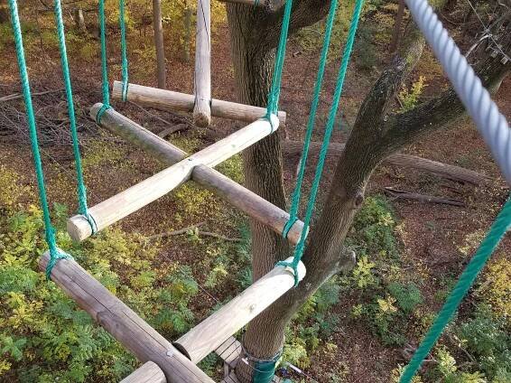 Treetop Quest Philly (2025) - All You Need to Know BEFORE You Go (with Reviews)