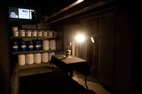 Camera obscura #5