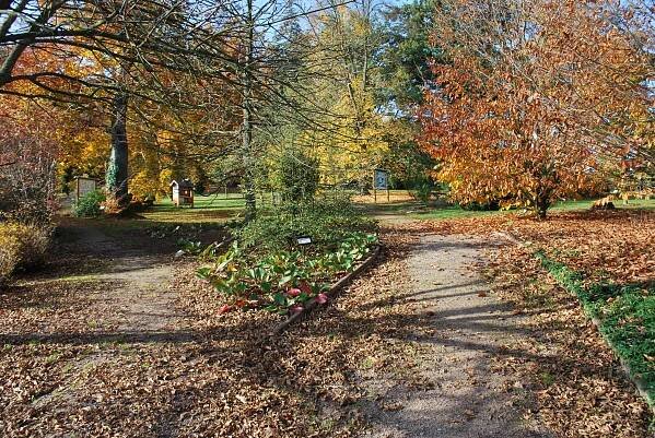 Žampach arboretum - horní park - podzim (16) 