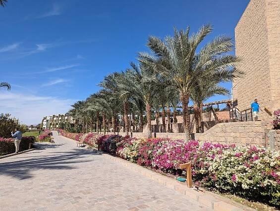 Fort Arabesque Resort, Spa & Villas Family Amenities: Pictures & Reviews - Tripadvisor