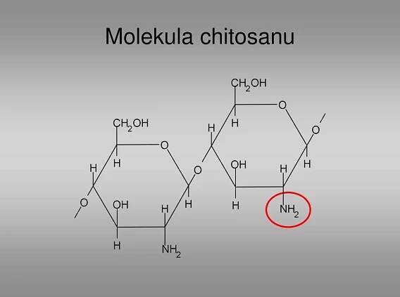 PPT - Chování polyelektrolytů v přítomnosti solí PowerPoint Presentation - ID:3050398