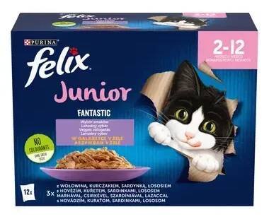 FELIX Fantastic Junior Multipack s hovězím, kuřecím, sardinkami, lososem v želé 12x85g