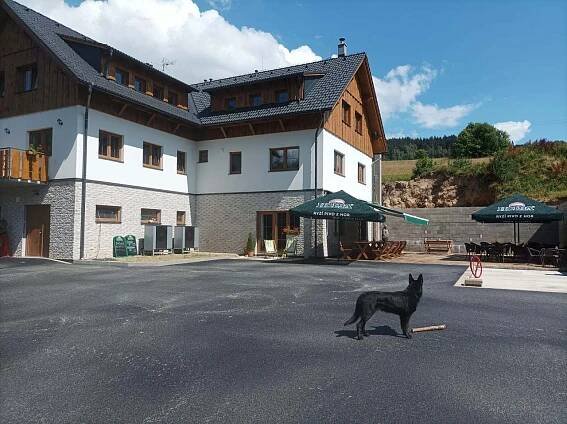 Penzion U Žabáků Dolní Morava -  - foto 8