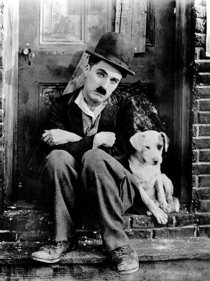 “I decided to hide Charlie Chaplin’s body and solve my problems...”