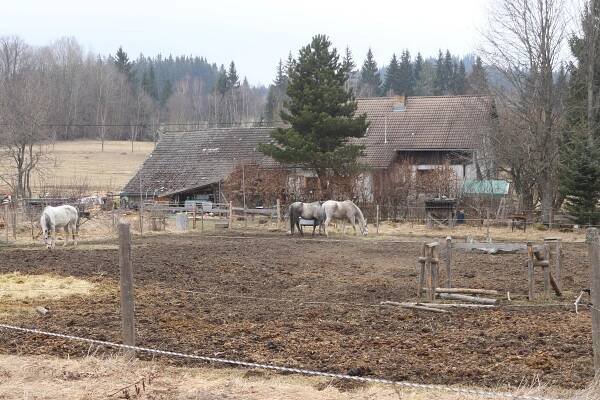 Miniatury : První letošní hřmění - Šumava.eu - webkamery, zpravodajství, počasí, uzdravuje,