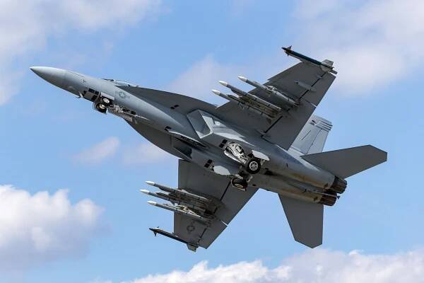 F/A-18E/F Super Hornet: its origin, purpose and performance