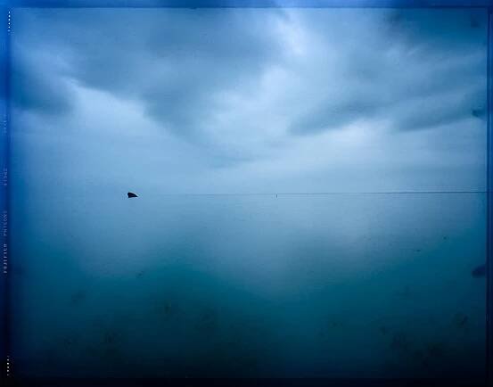 Susan Dobson - Available Artwork | Michael Gibson Gallery