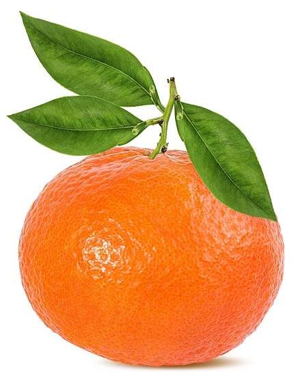 Mandarine / Clementine / Satsuma | friutdeluxe