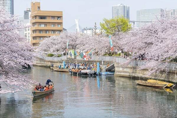 This riverside cherry blossom festival in Tokyo offers a nostalgic Edo period vibe