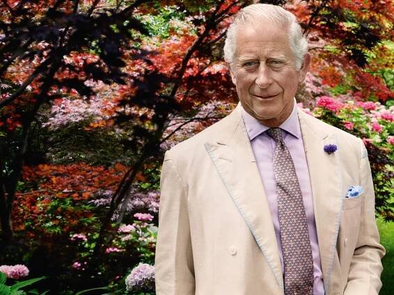Colleen Harris, the First Black Member of the Royal Household, Recalls Her Years Working With King Charles III