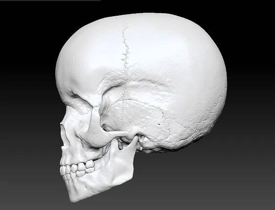 Art of Joseph Alexander Wraith - Child Skull