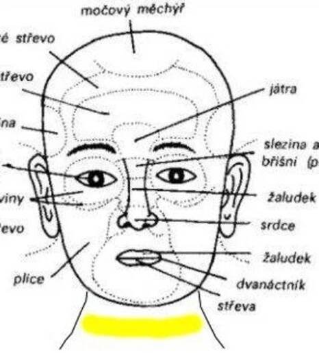 Index of /wp-content/uploads/2013/06