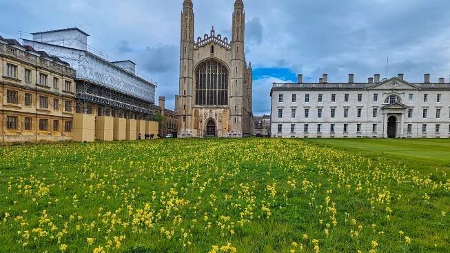 Cambridge Archives - Blasdale Home