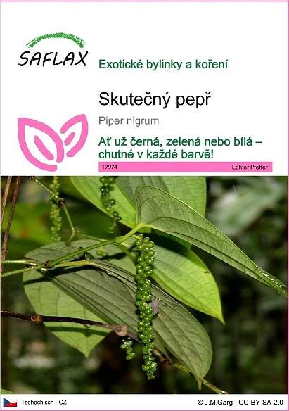 SAFLAX - skutečný pepř - Piper nigrum - 20 Semena