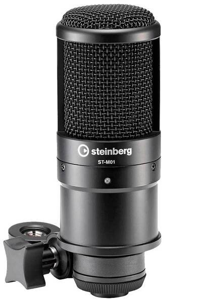 Steinberg UR22C microphone 