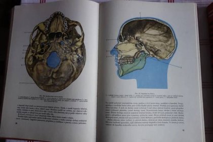 Anatomie člověka I-II - Učebnice